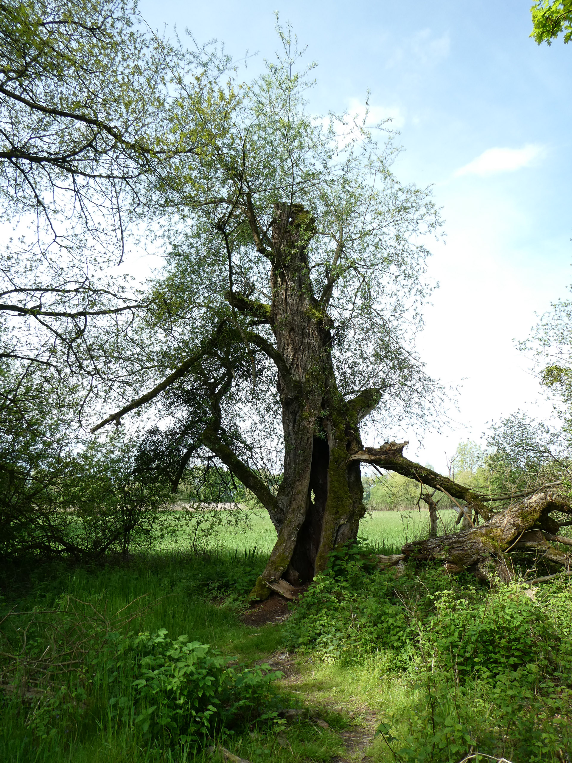 20230507095359 P1000238